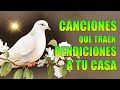 Canciones Catolicas de Alabanzas Y Adoracion 🙏Cantos catolicos alegres a la virgen maria