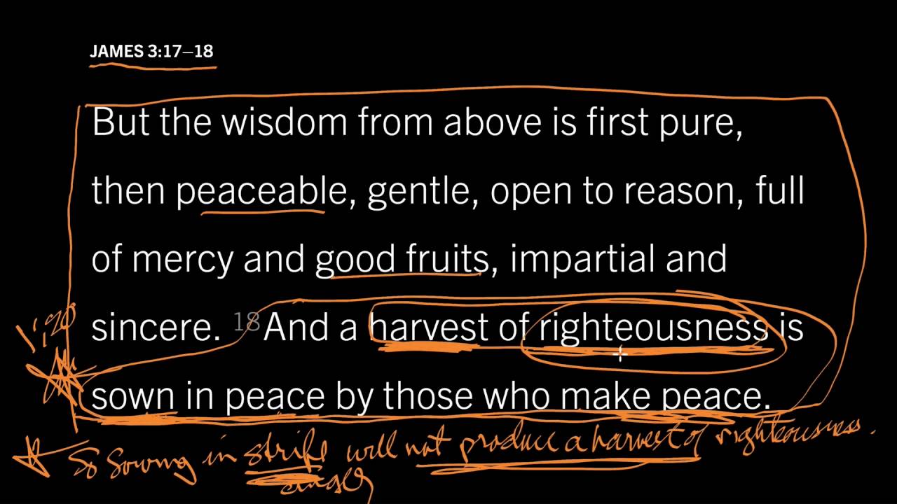 James 3:18 // What Does It Mean to Meditate