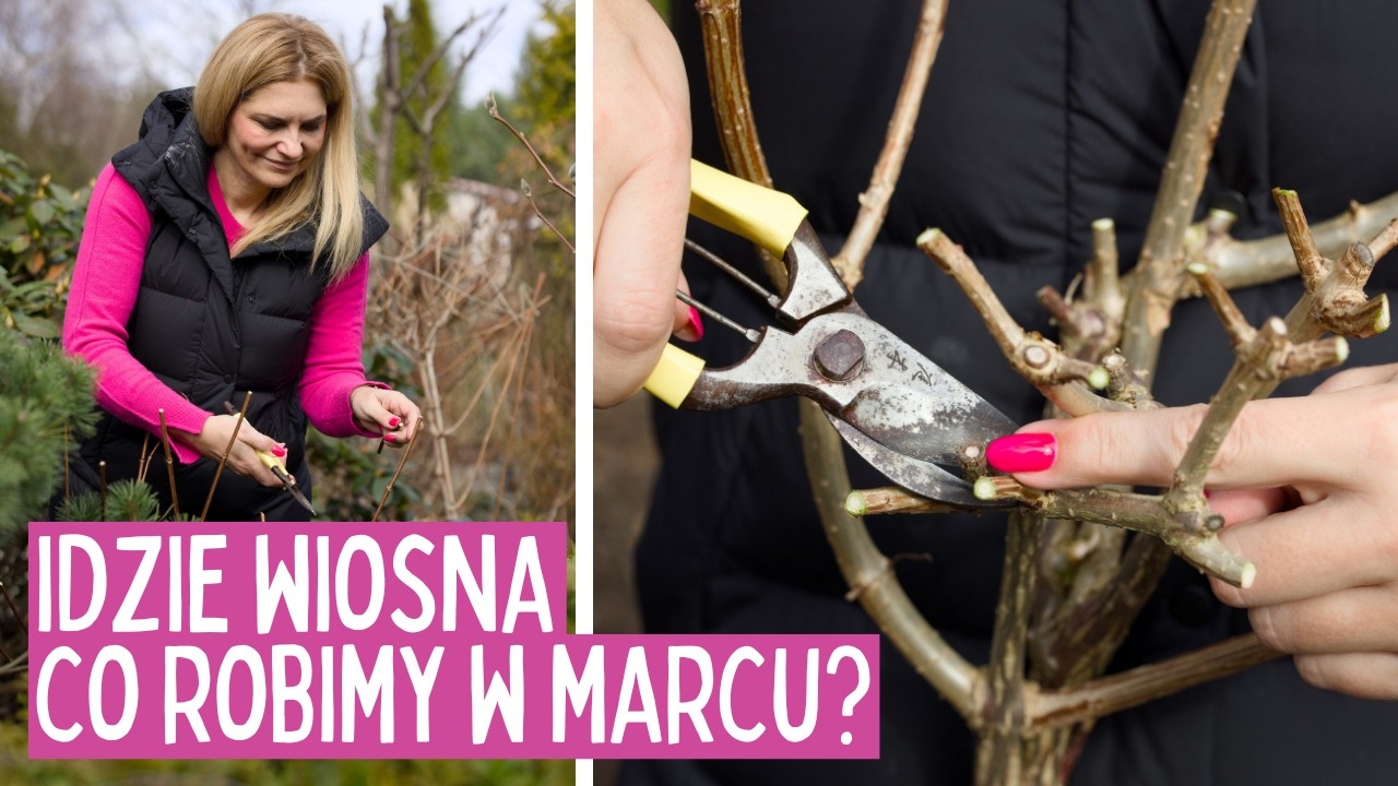 Prace ogrodowe w marcu: Od czego zacząć? Metoda małych kwadratów i cięcie roślin