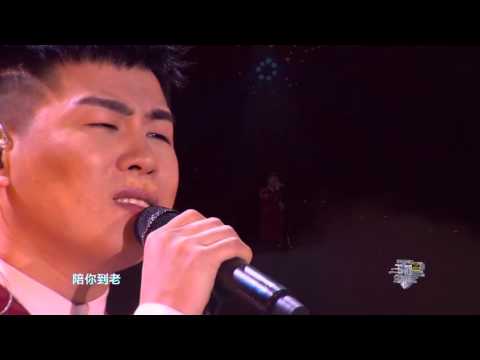 江苏卫视 2016 跨年演唱会 胡彦斌 《有个爱你的人不容易》