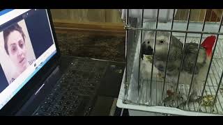 نازانم چی بە نووسم ھھھا Astera Karim Jrt