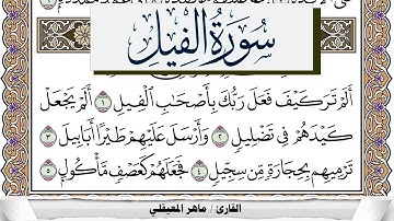 سورة الفيل مكتوبة ماهر المعيقلي Surah Al Feel Maher Al Muaiqly برواية حفص عن عاصم