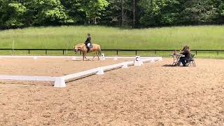 Working Equitation USAWE Novice B dressage test with Fina