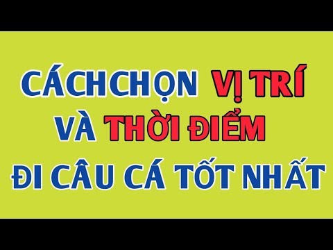 Video: Những Chiến Thuật để Chọn để Câu Cá