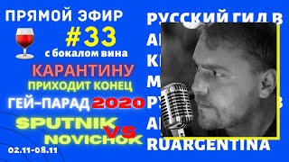 Новости Из Аргентины С Бокалом Вина. 33-Я Неделя Карантина (02-08.11). Прямой Эфир Ruargentina.