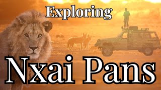 Exploring Nxai Pans National Park Botswana