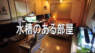 水槽のある部屋 Aquarium Room アクアリウム Youtube 水槽のある部屋 Aquarium Room アクアリウム Youtube