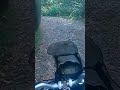 Track to Citalahab on Benelli TRK 251
