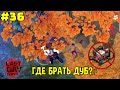 Где взять дуб новичку 📱 Прохождение с нуля #36 ► Last Day on Earth: Survival