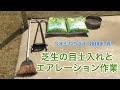 芝生の目土入れとエアレーション作業