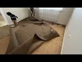 Ripping out the carpet - here's what we found