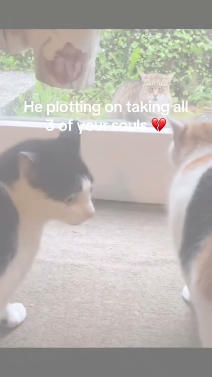 Kittyo like I’m really on that timing bro you played with thE right one