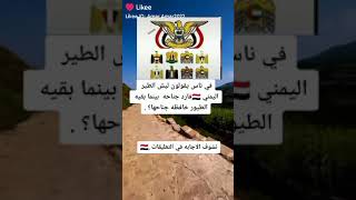 سوف الصقر اليمني رافع جناحي