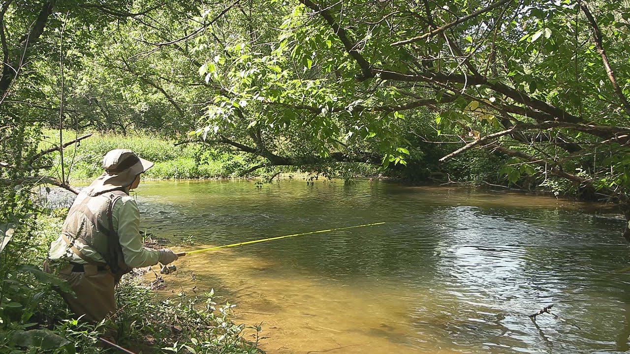 Fly Fishing Crooked Creek, Minnesota YouTube