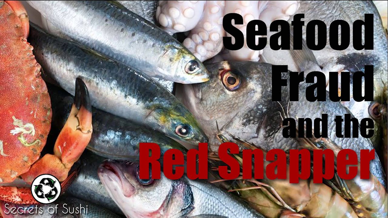 Fish Fraud and the Red Snapper | Secrets of Sushi