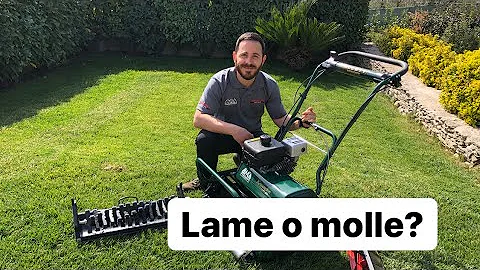 Come eseguira la scarificazione del prato?