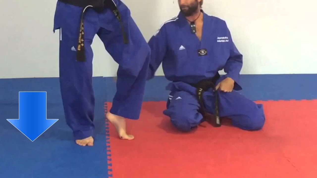 Tae Kwon Do Cat Stance YouTube