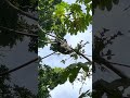 🦥The Sloth Neighborhood is Full!