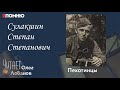 Сулакшин Степан Степанович. Проект &quot;Я помню&quot; Артема Драбкина. Пехотинцы..