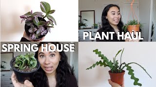 Spring Plant Haul! Uncommon WISHLIST Houseplant Haul 2021