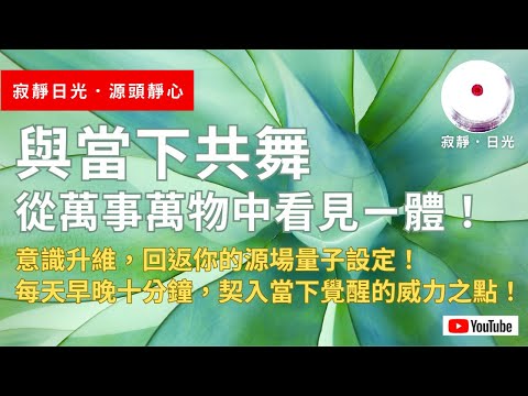 與當下共舞！從差異中學習擴展！從萬事萬物中看見一體！意識升維，回返你的源場量子設定！每天早晚10分鐘，契入「內在本源·當下覺醒」的威力之點！靈性躍升不可不知的神性合一奧秘！寂靜日光．源頭靜心(015)