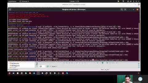 Restaurar Base de Datos en Linux con Postgres en Docker y puerto diferente