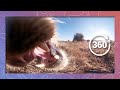 Eaten by a Lion in 360 5K | The Last View Seen by its Prey