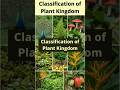 Classification of Plant Kingdom 🌱 #ncertbiology #bscbotany #plantbiology #biologybasics #neetprep