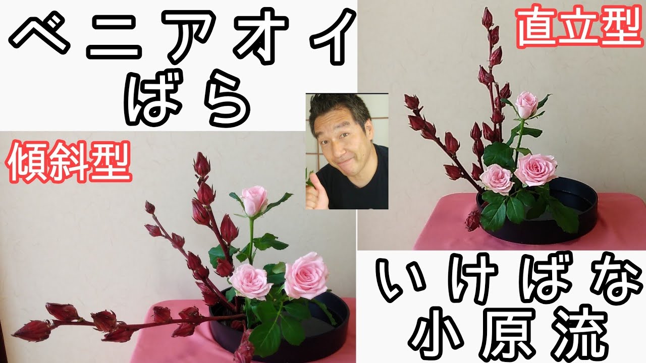 ※コメント欄に訂正あります※いけばな小原流　直立型　傾斜型　バラ　ベニアオイ　薔薇　盛花　始めよういけばな　レッスン！
