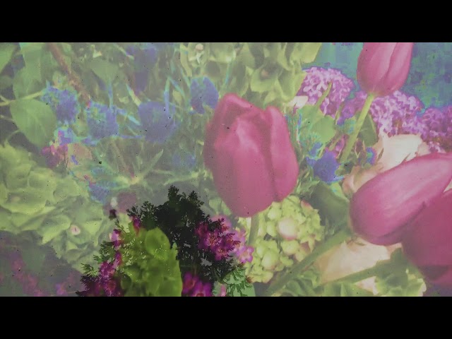 Deafheaven - Canary Yellow