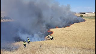 Incendio agrícola en el paraje el Pardillo, entre Ciudad Real y Poblete