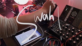 Swahl | #jamuary2022 Downtempo Digitakt & Modular (Plaits, C4RBN, Desmodus Versio)