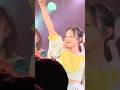夏中夢カレンダー/豆柴の大群#豆柴の大群#クロちゃん#shorts