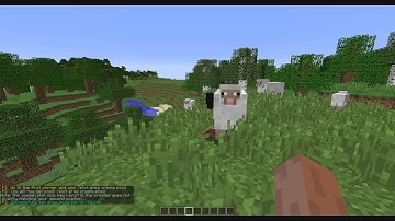 PlotSquared test 3.3.0| Creating a small plot area in a vanilla world