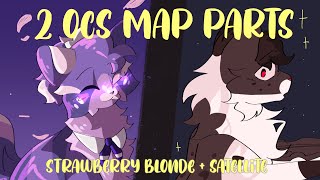 2 OCs MAP Part (Strawberry Blonde / Satellite)