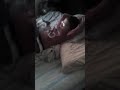 Mi.  Hermano.  Cuando.  Yegua.  Del.  Colegio