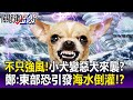 【關鍵精華】不只強風！小犬颱風「暴雨強碰大潮」變惡犬來襲？ 鄭：東部恐引發海水倒灌！？-劉寶傑