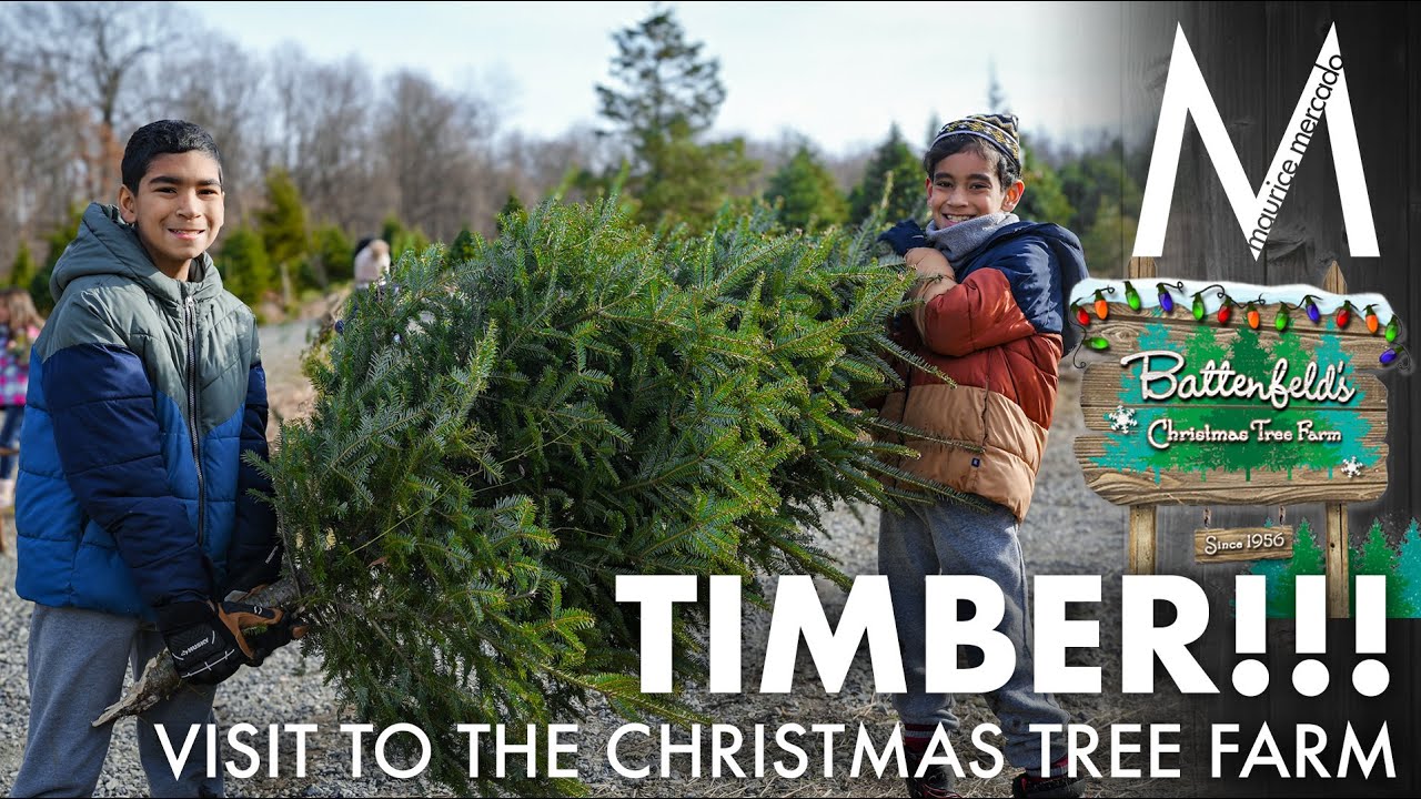 TIMBER!!! Visiting the Christmas Tree Farm - YouTube