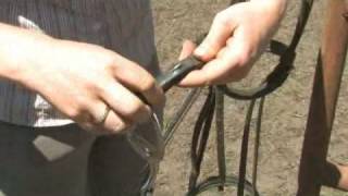 Famous How to Attach a Snaffle Bit Wealth