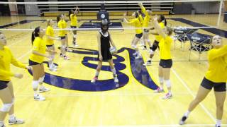 Harlem Shake Cal Volleyball