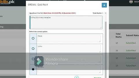 Digiskills Graphic Design Quiz no 4 Solution batch 8 2020 | Environment4.com