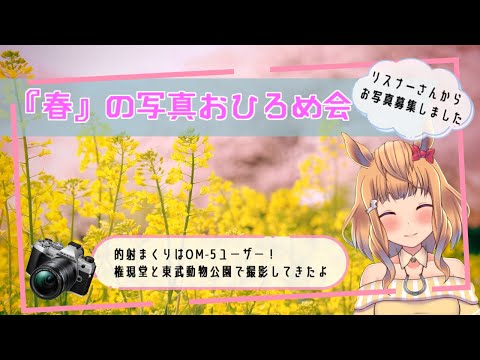 【春の写真おひろめ会】リスナーさんから募集した春のお写真をご紹介◎【Vtuber的射まくり】