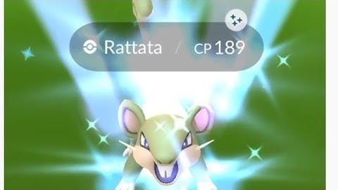 I just start my game and catch a shiny✨✨ Pokemon instant in Pokemon go.... 😂😂😂