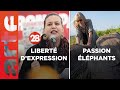 Une vie au milieu des lphants  la libert dexpression estelle menace   28 minutes  arte