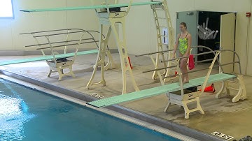 Reverse Dive Pike