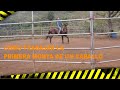 Como montar un caballo por primera vez