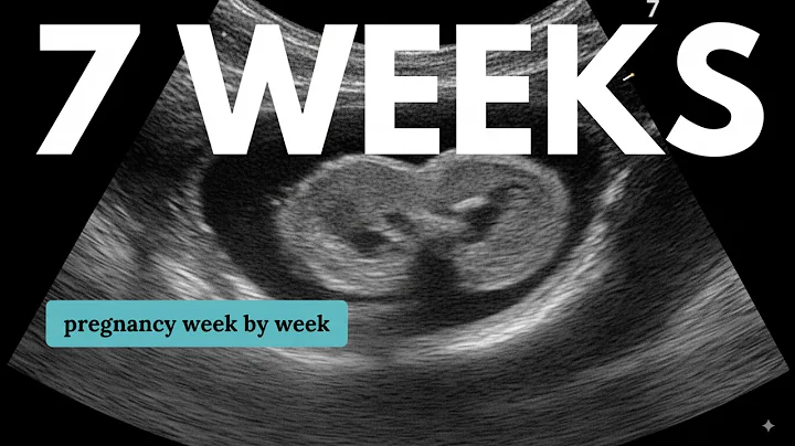 7 Weeks Pregnant 🤰 What to Expect: Changes for You & Baby Development