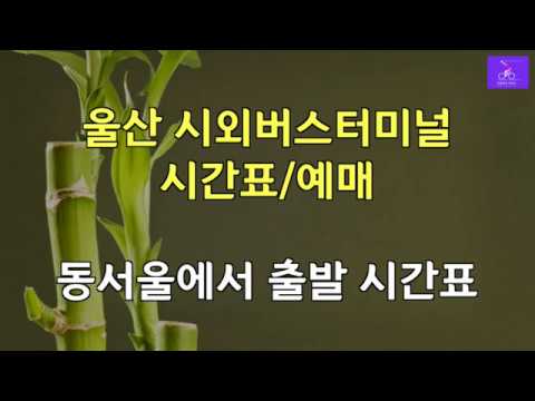 울산시외버스터미널 시간표/예매와 동서울터미널에서 출발 시간표 - YouTube 울산시외버스터미널 시간표/예매와 동서울터미널에서 출발 시간표 - Youtube