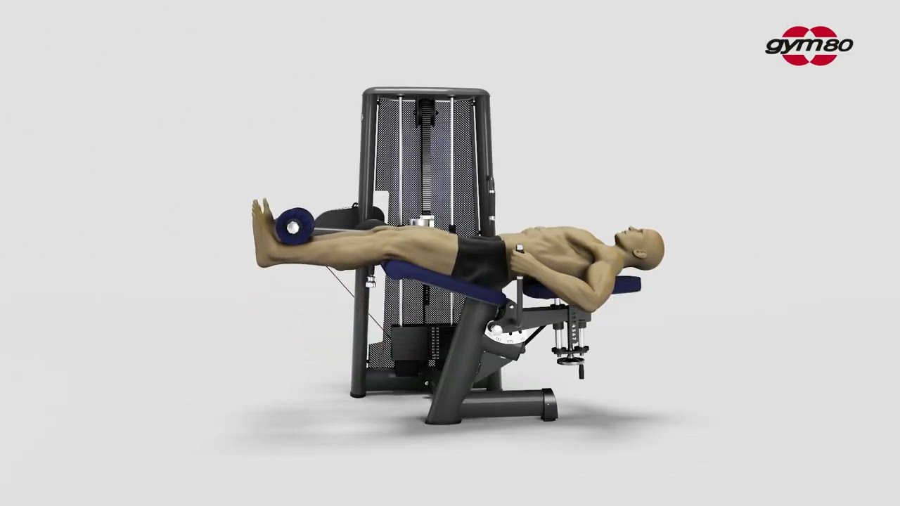3123 - LYING LEG EXTENSION WITH ADJUSTABLE BACKREST – gym80