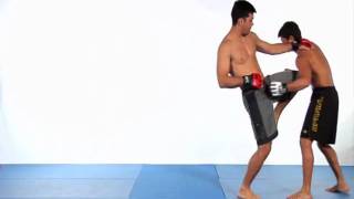 Machida Karate for MMA